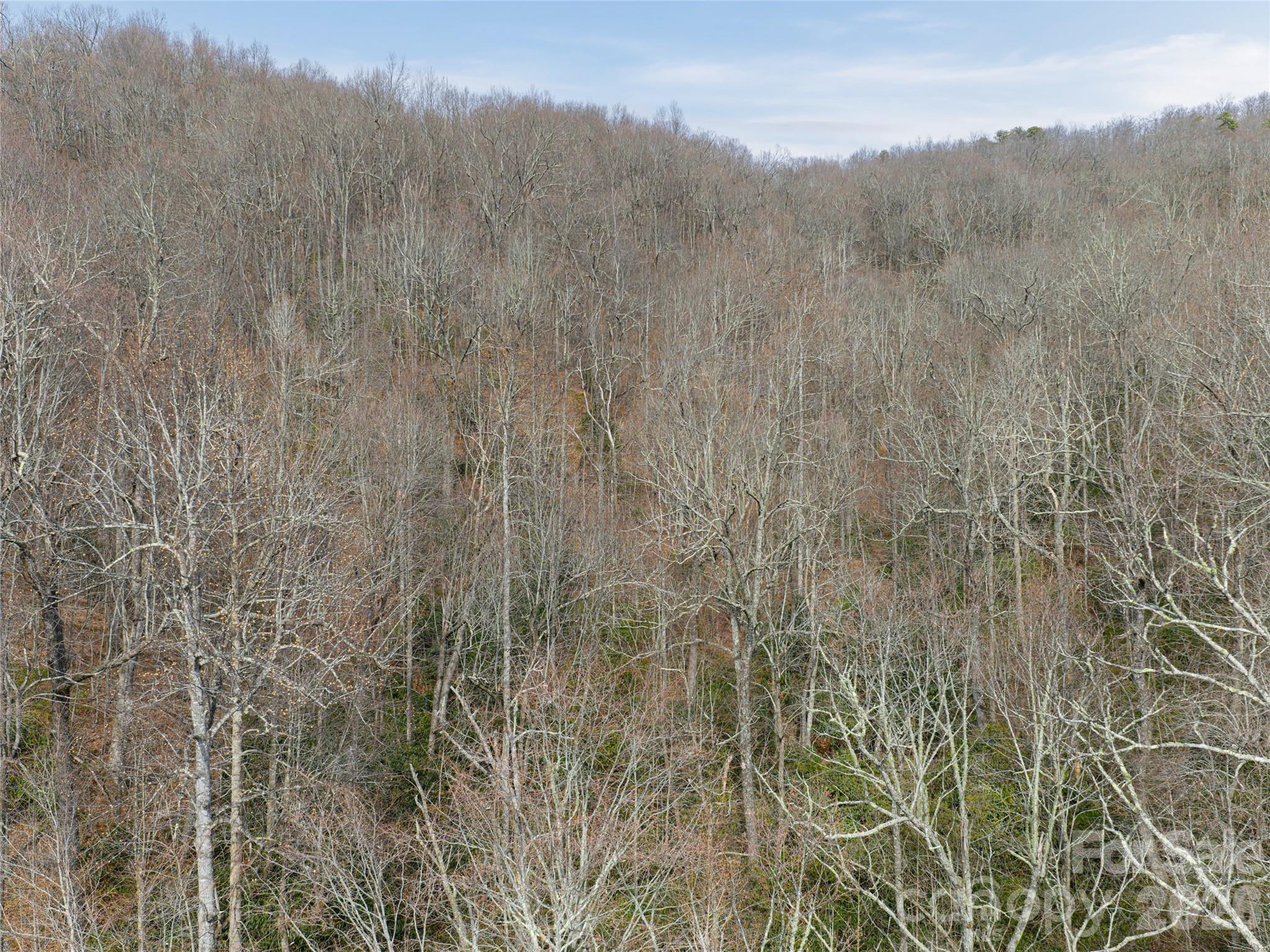 99999 Nc 9 Highway Black Mountain NC 28711