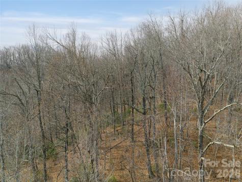 99999 Nc 9 Highway Black Mountain NC 28711