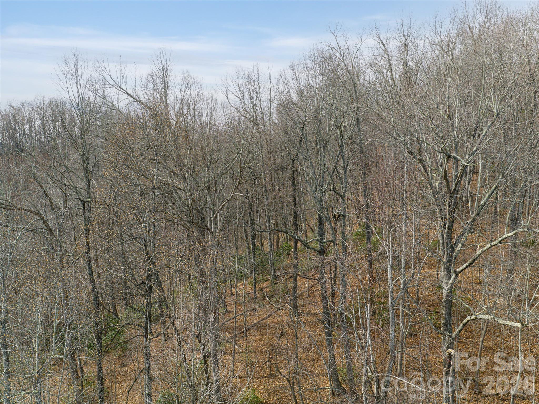 99999 Nc 9 Highway Black Mountain NC 28711