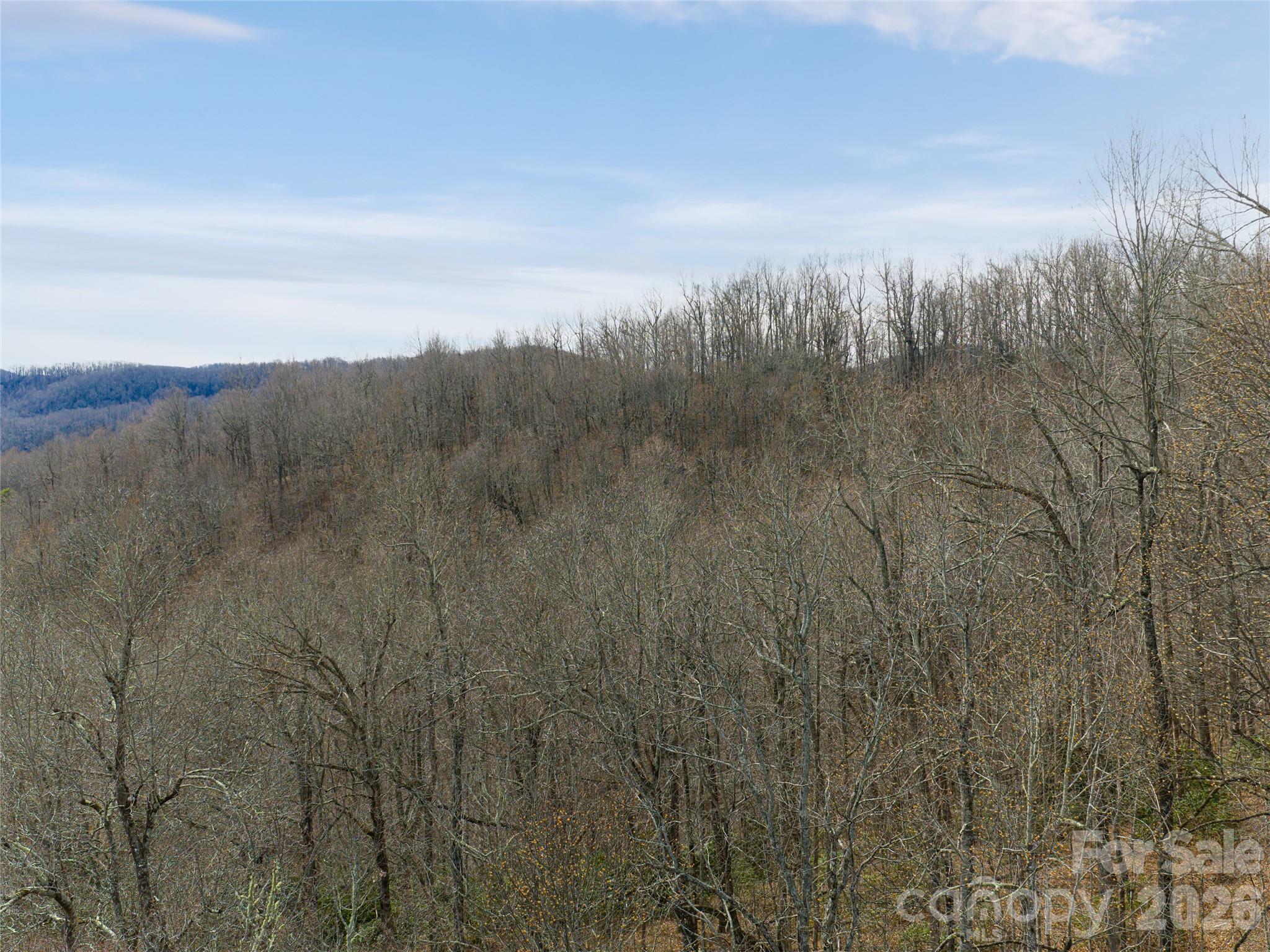 99999 Nc 9 Highway Black Mountain NC 28711