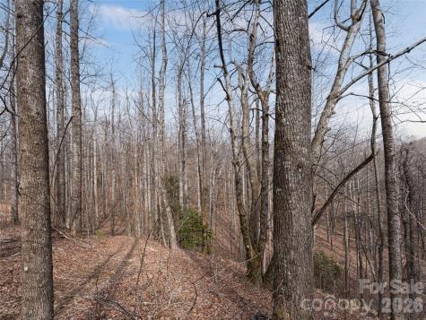 99999 Nc 9 Highway Black Mountain NC 28711