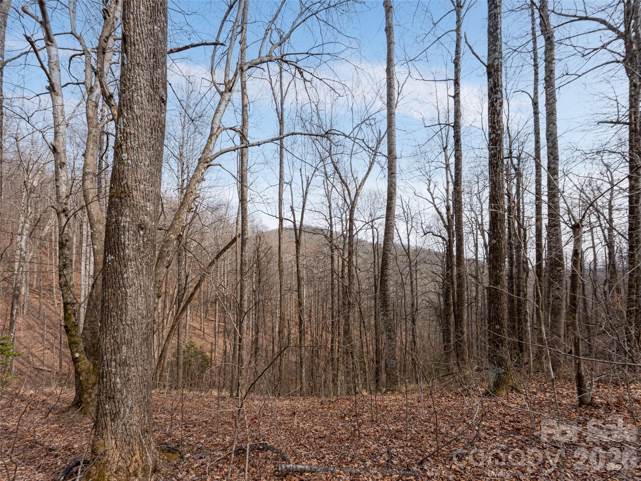 99999 Nc 9 Highway Black Mountain NC 28711