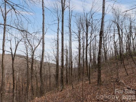 99999 Nc 9 Highway Black Mountain NC 28711