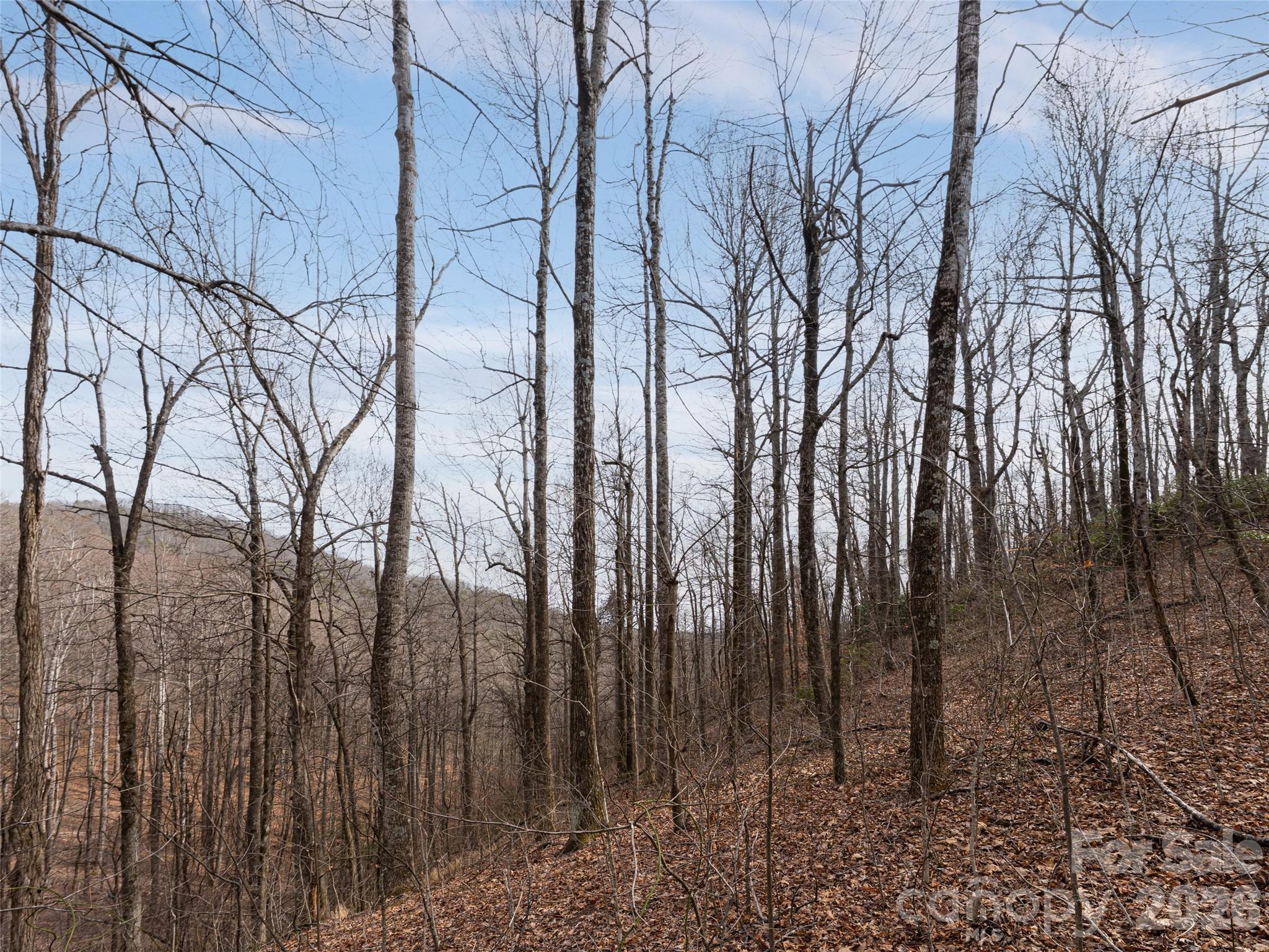 99999 Nc 9 Highway Black Mountain NC 28711