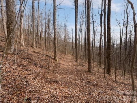 99999 Nc 9 Highway Black Mountain NC 28711