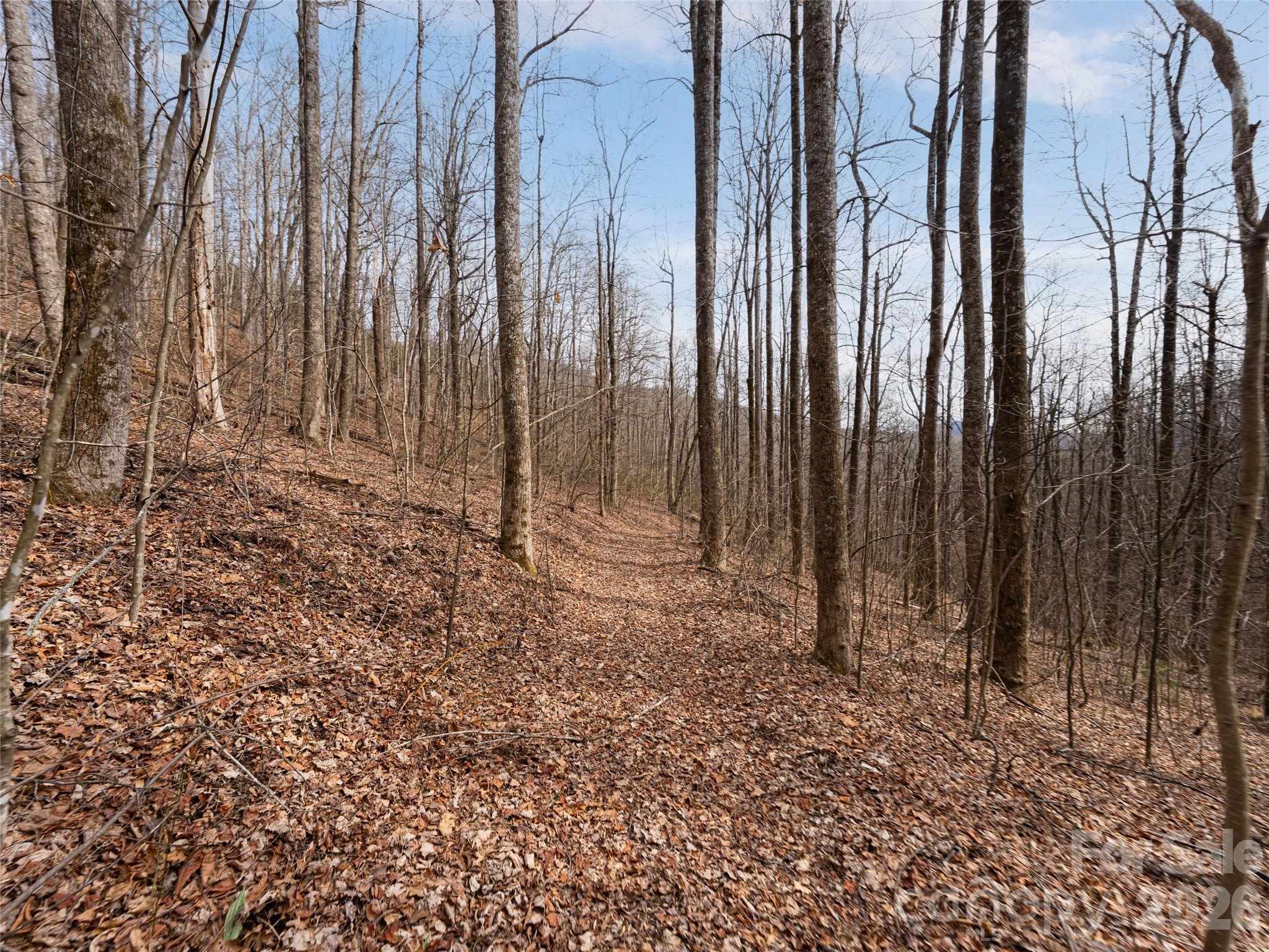 99999 Nc 9 Highway Black Mountain NC 28711