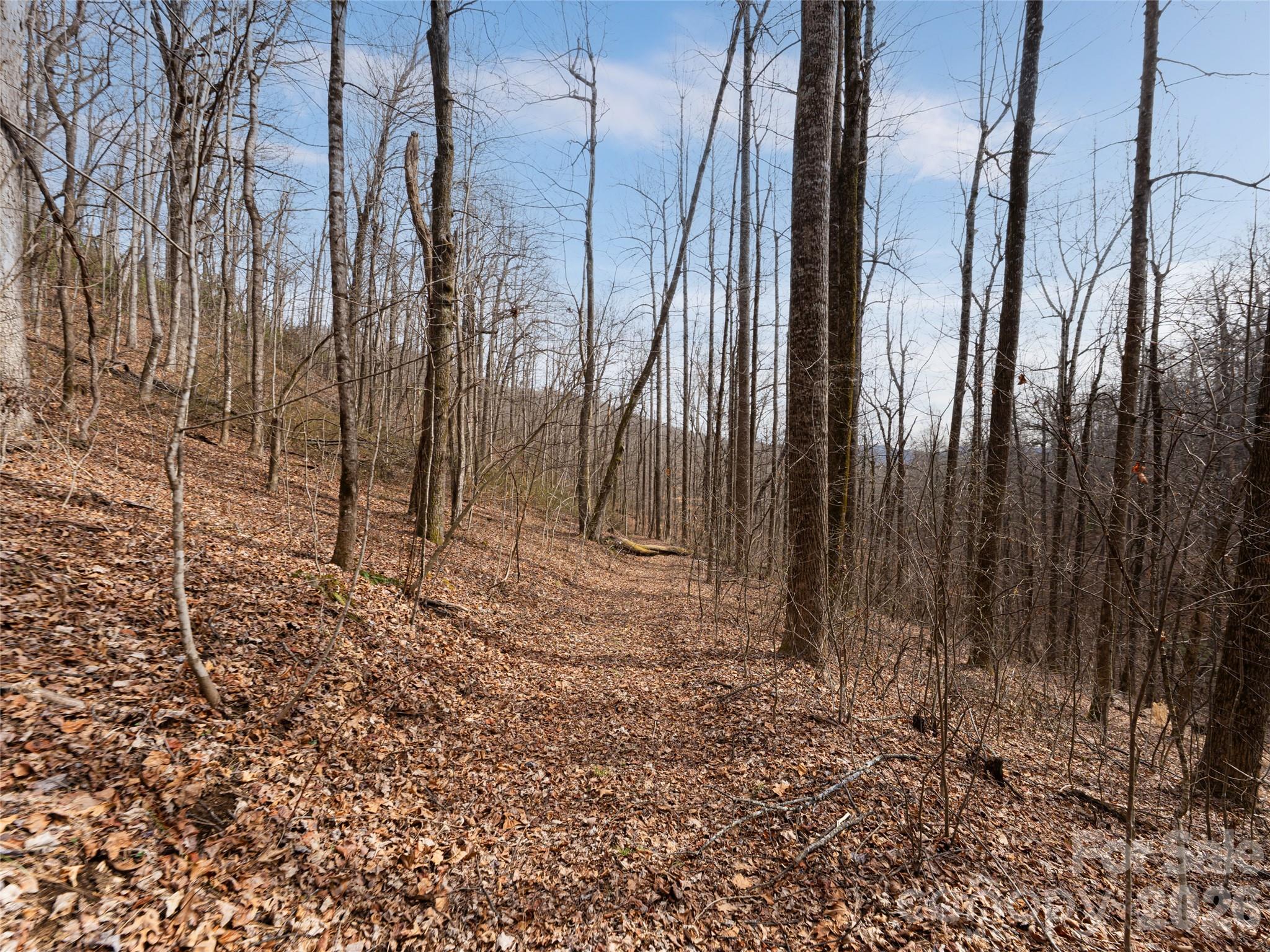 99999 Nc 9 Highway Black Mountain NC 28711