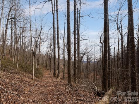 99999 Nc 9 Highway Black Mountain NC 28711