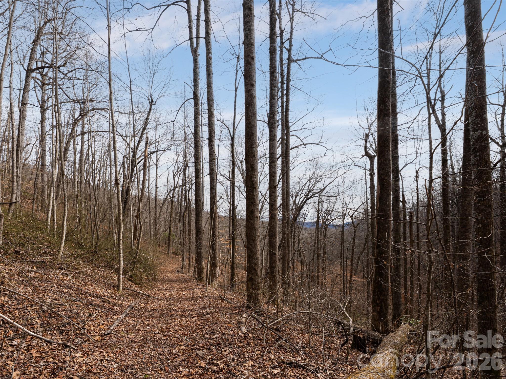 99999 Nc 9 Highway Black Mountain NC 28711