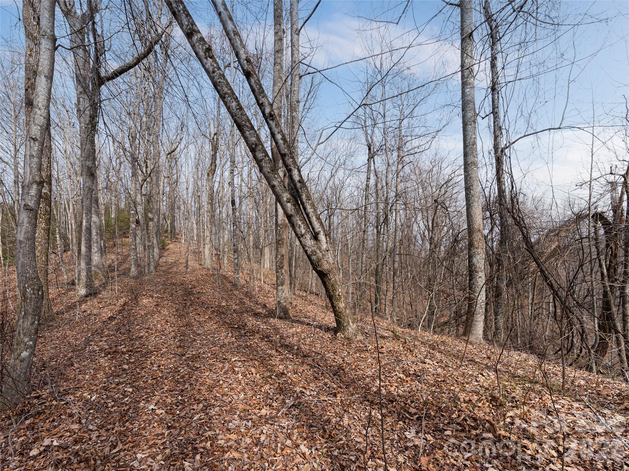 99999 Nc 9 Highway Black Mountain NC 28711