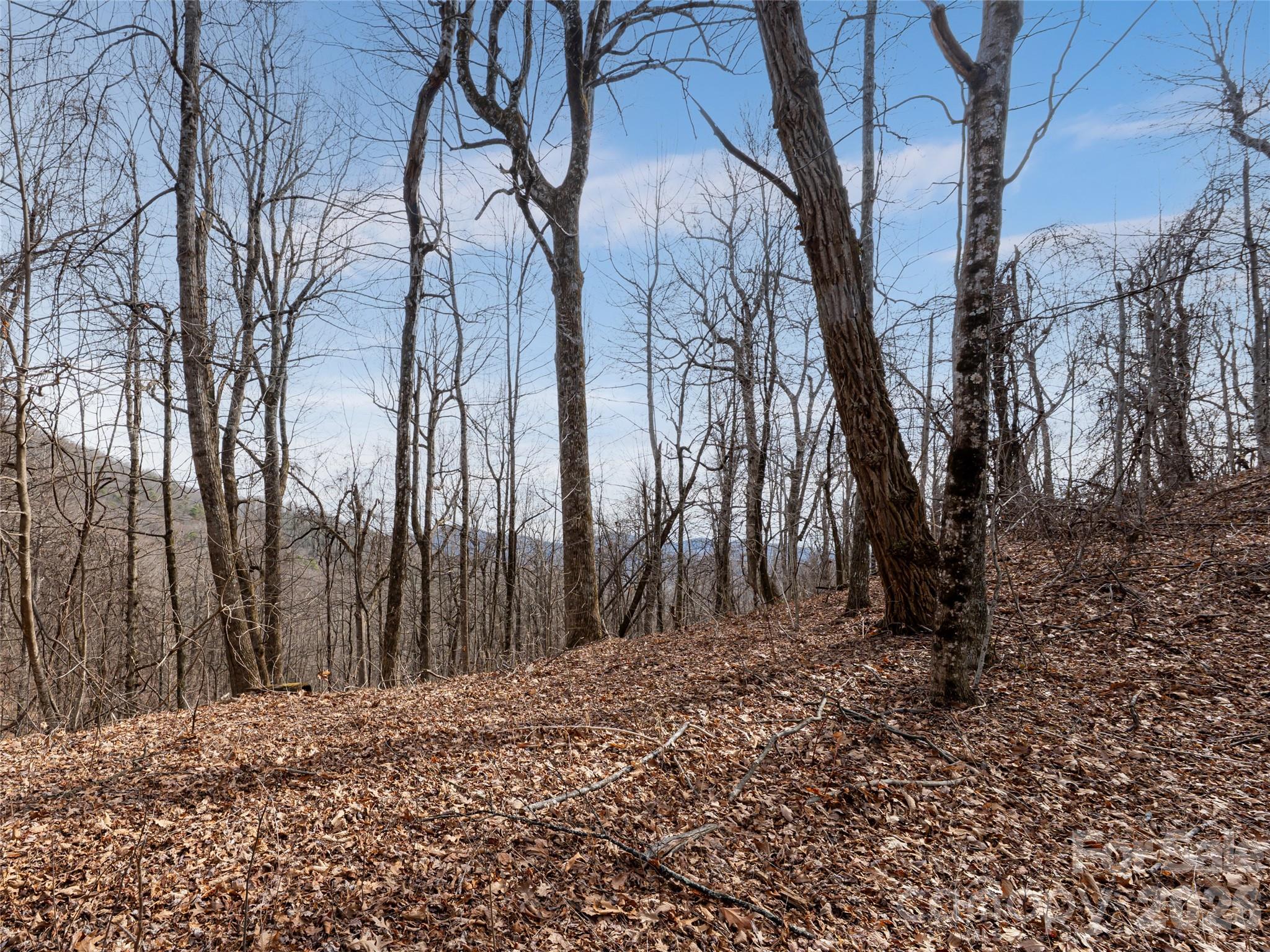 99999 Nc 9 Highway Black Mountain NC 28711