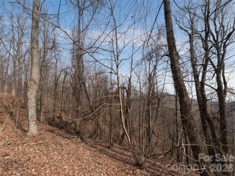 99999 Nc 9 Highway Black Mountain NC 28711