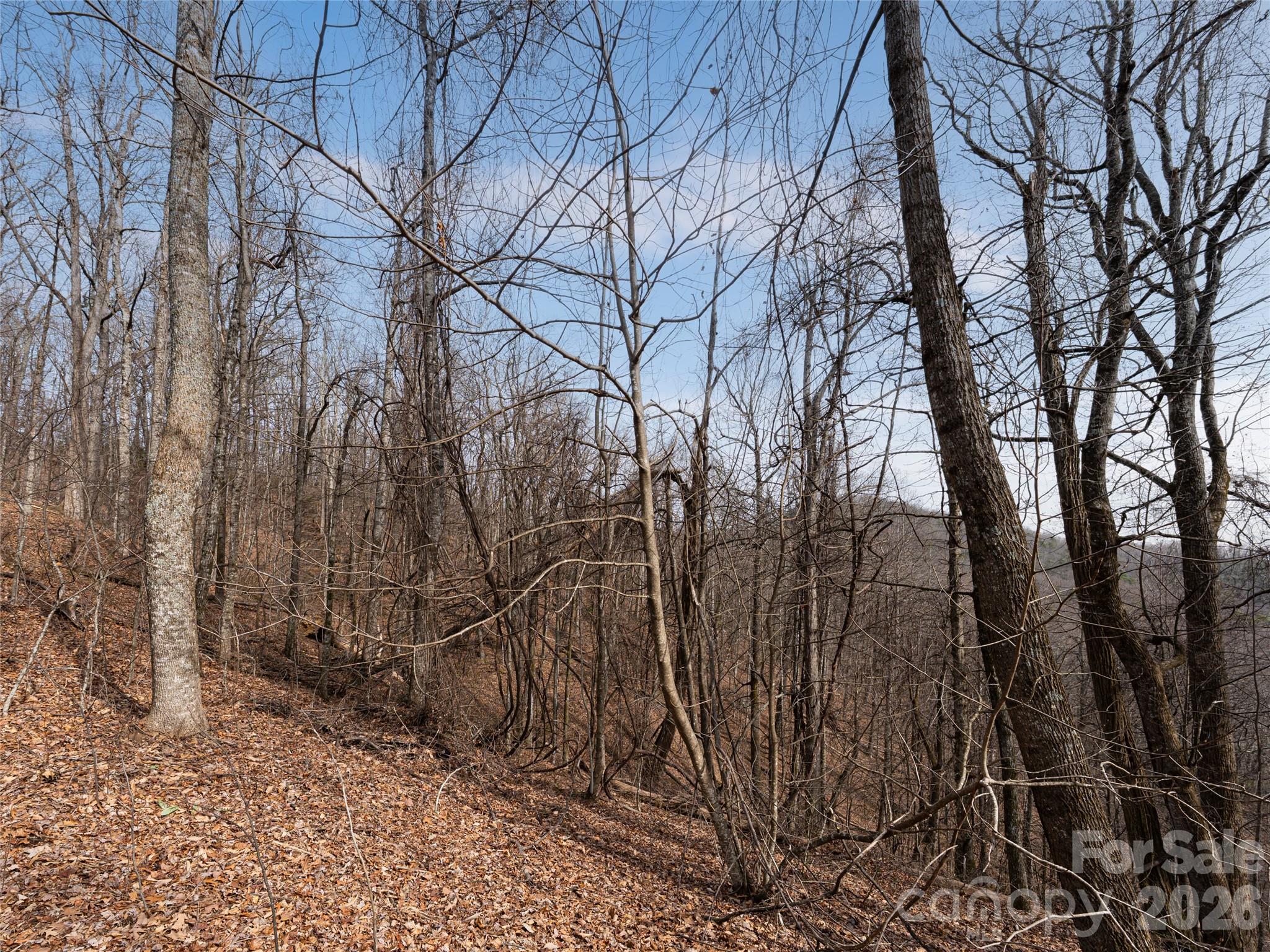 99999 Nc 9 Highway Black Mountain NC 28711