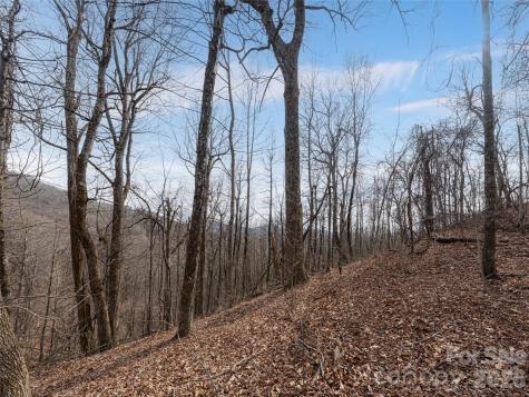 99999 Nc 9 Highway Black Mountain NC 28711
