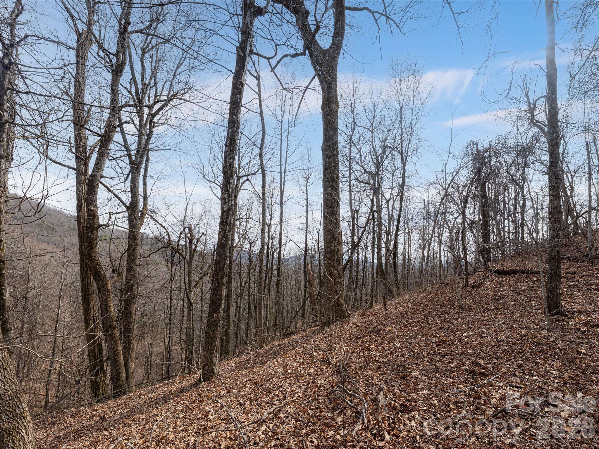 99999 Nc 9 Highway Black Mountain NC 28711