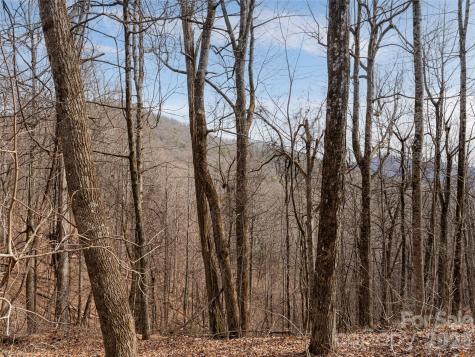 99999 Nc 9 Highway Black Mountain NC 28711