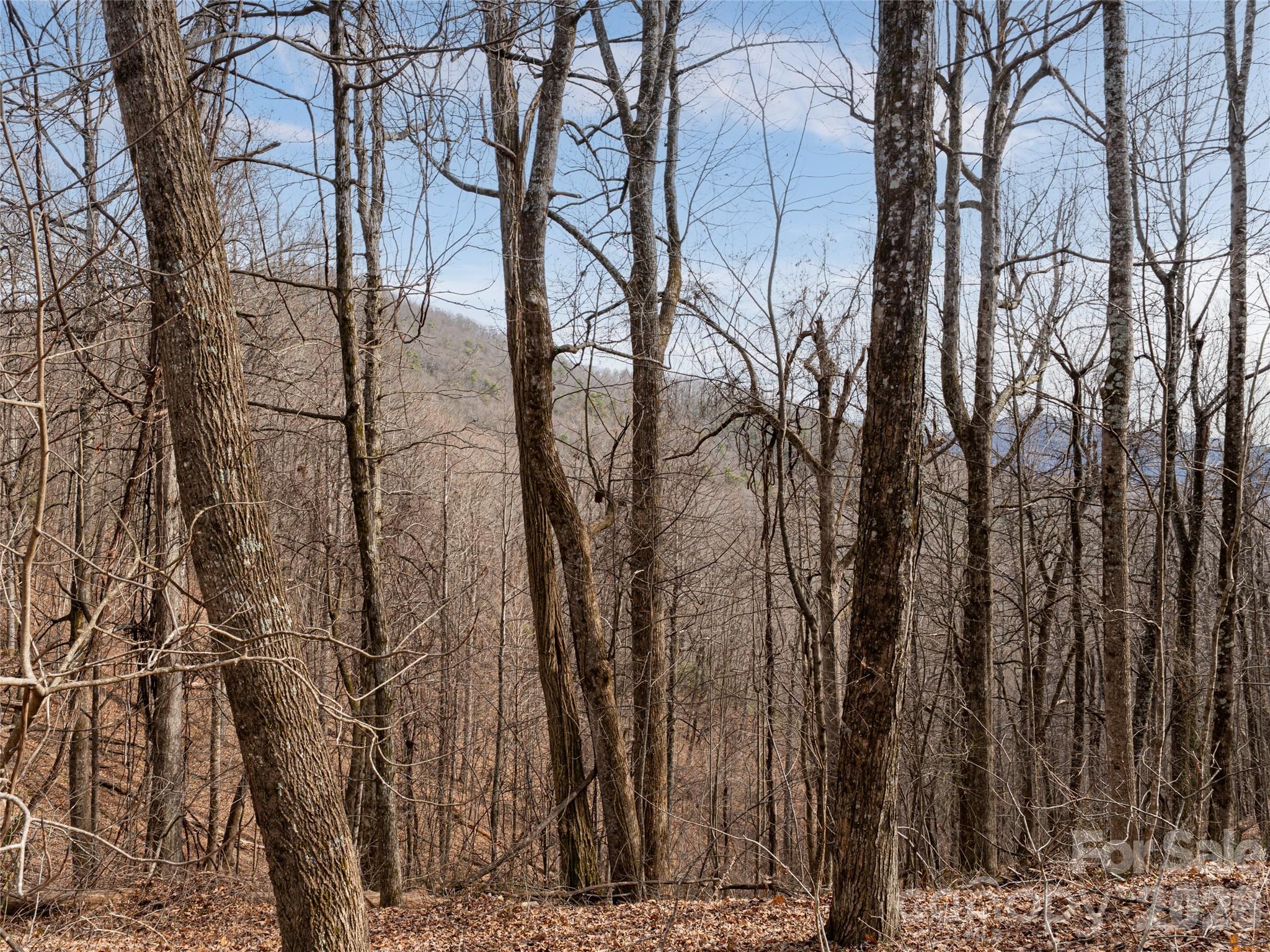 99999 Nc 9 Highway Black Mountain NC 28711
