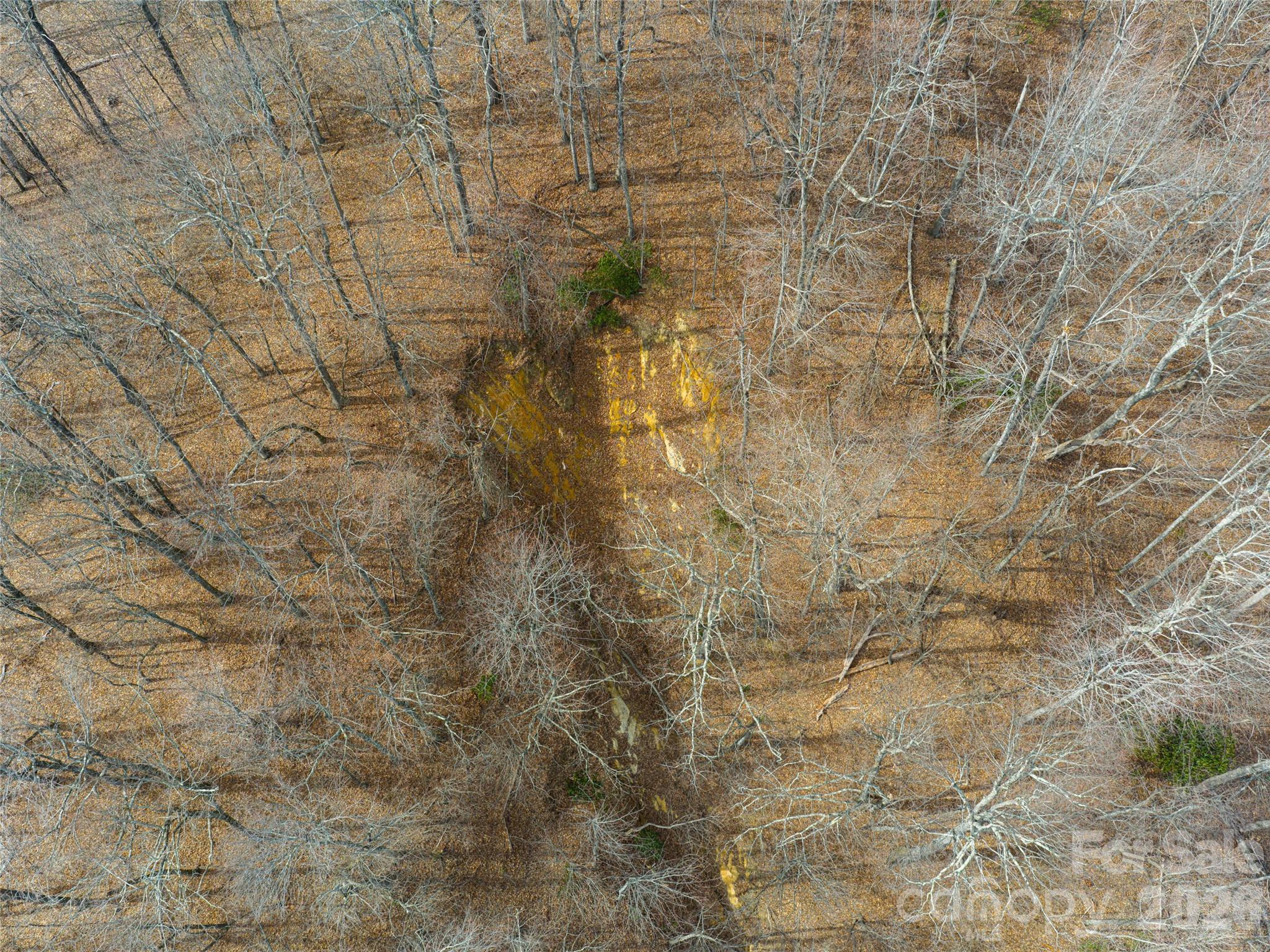 99999 Nc 9 Highway Black Mountain NC 28711