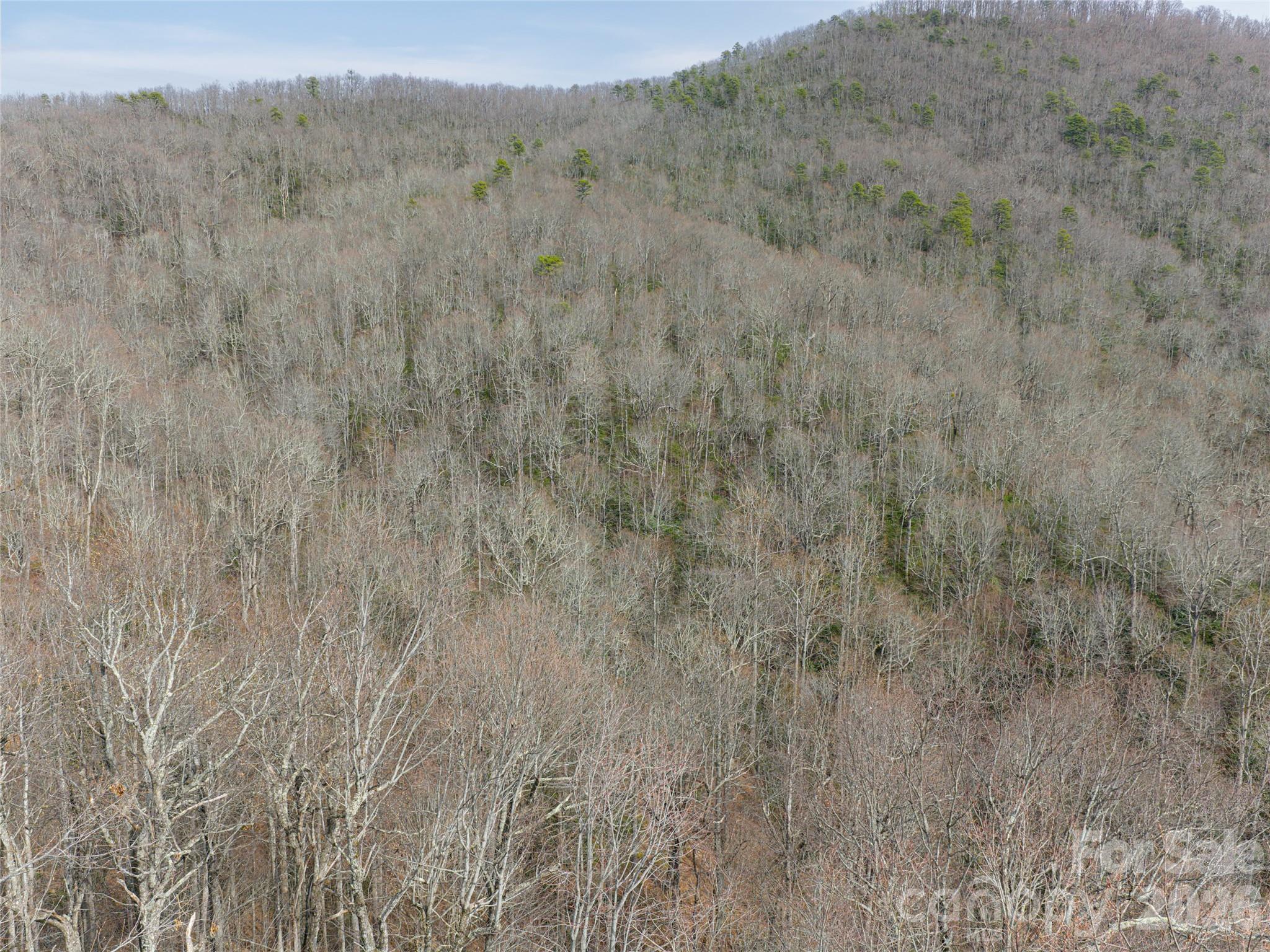 99999 Nc 9 Highway Black Mountain NC 28711