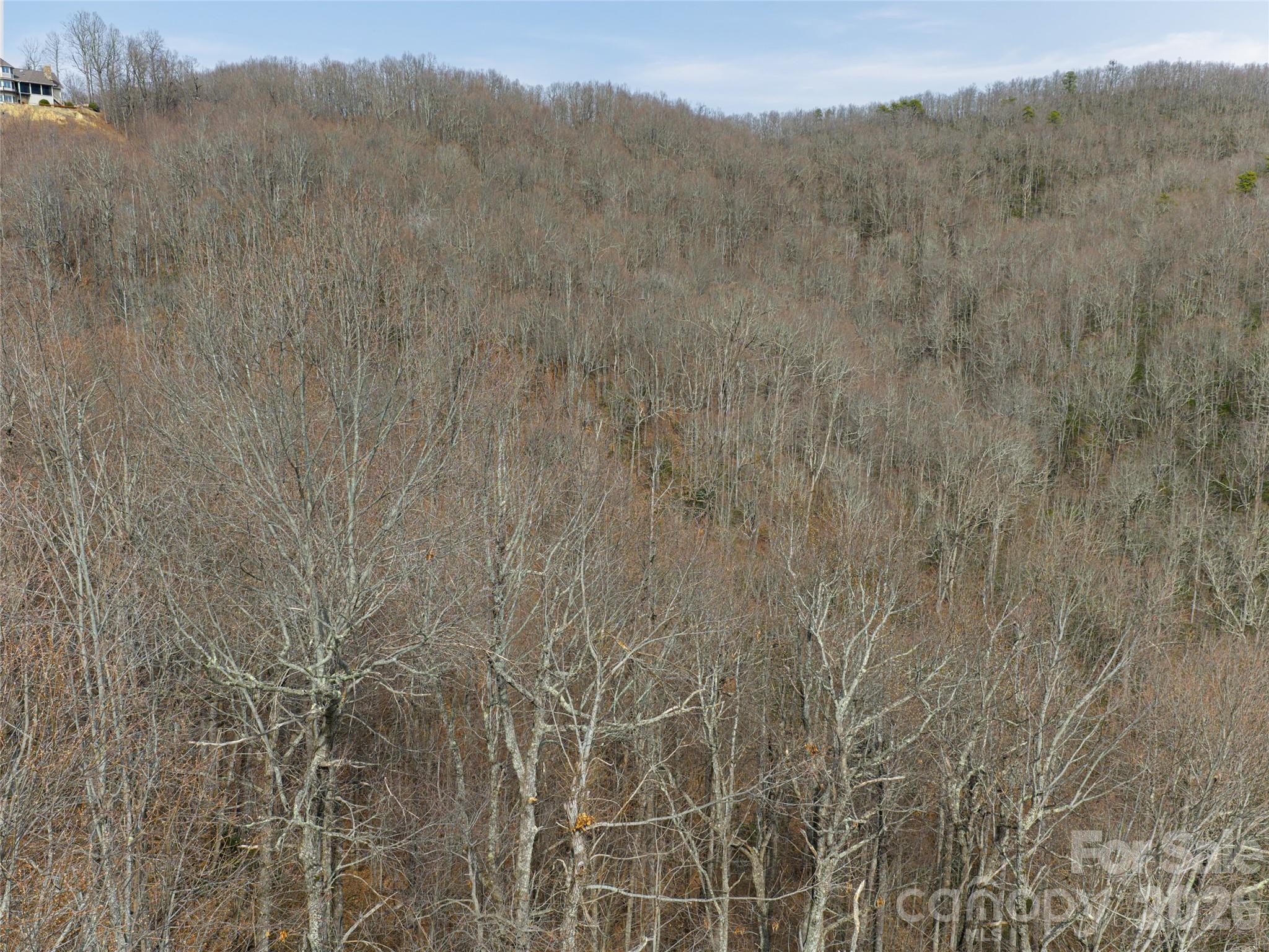 99999 Nc 9 Highway Black Mountain NC 28711