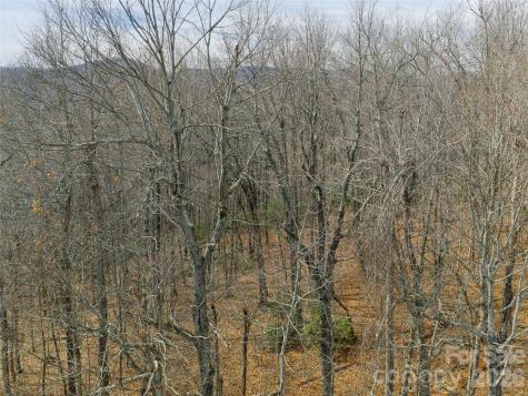 99999 Nc 9 Highway Black Mountain NC 28711