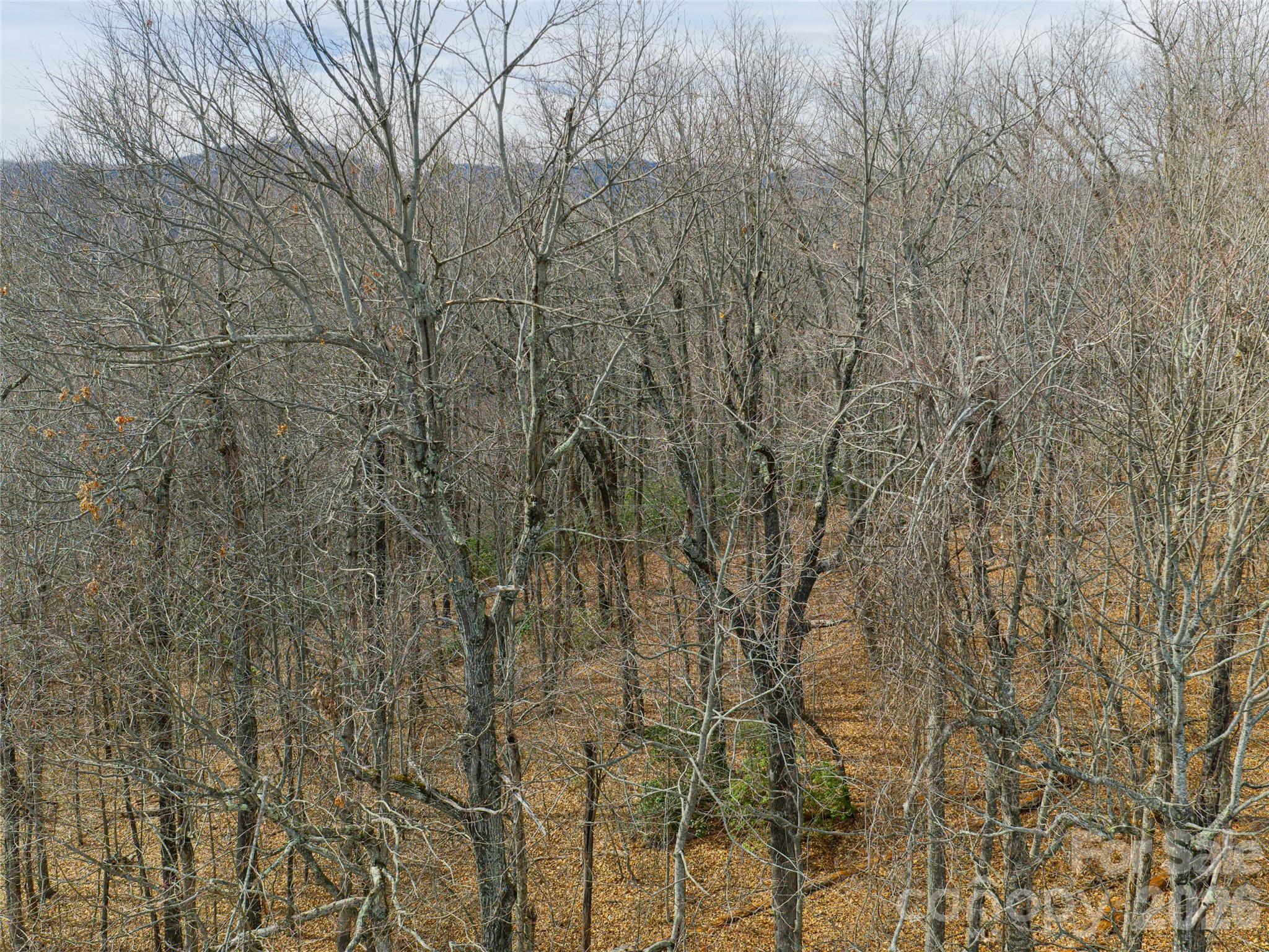 99999 Nc 9 Highway Black Mountain NC 28711