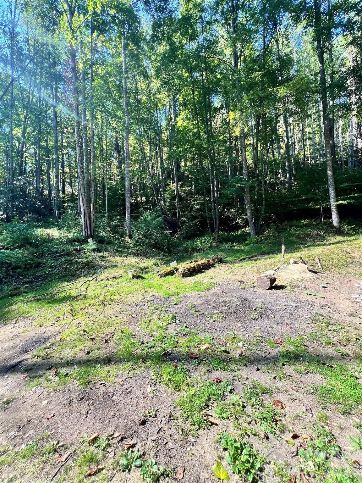 00 Battle Branch Road Bakersville NC 28705