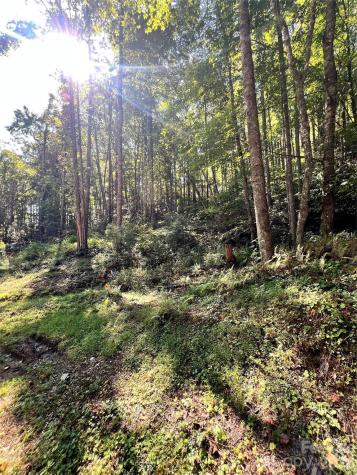 00 Battle Branch Road Bakersville NC 28705