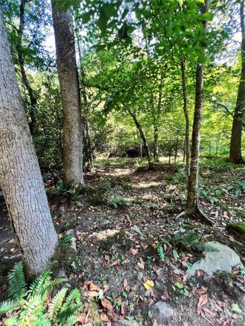 00 Battle Branch Road Bakersville NC 28705