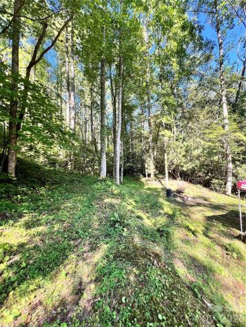 00 Battle Branch Road Bakersville NC 28705