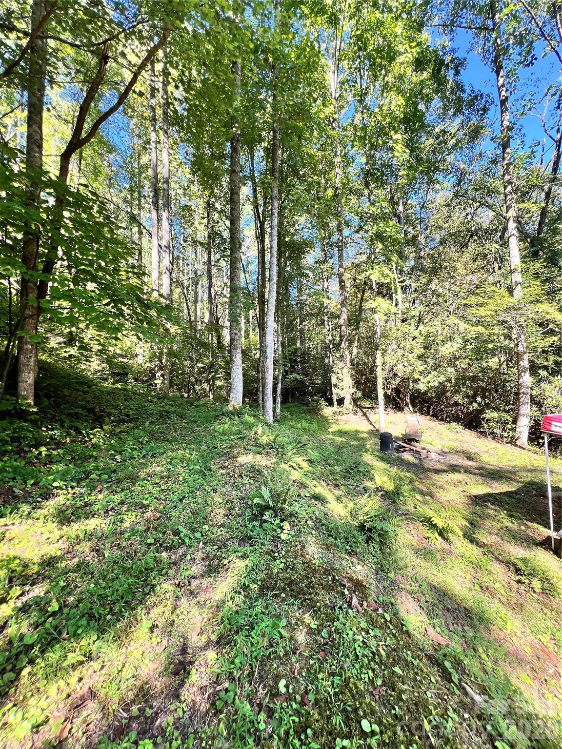 00 Battle Branch Road Bakersville NC 28705