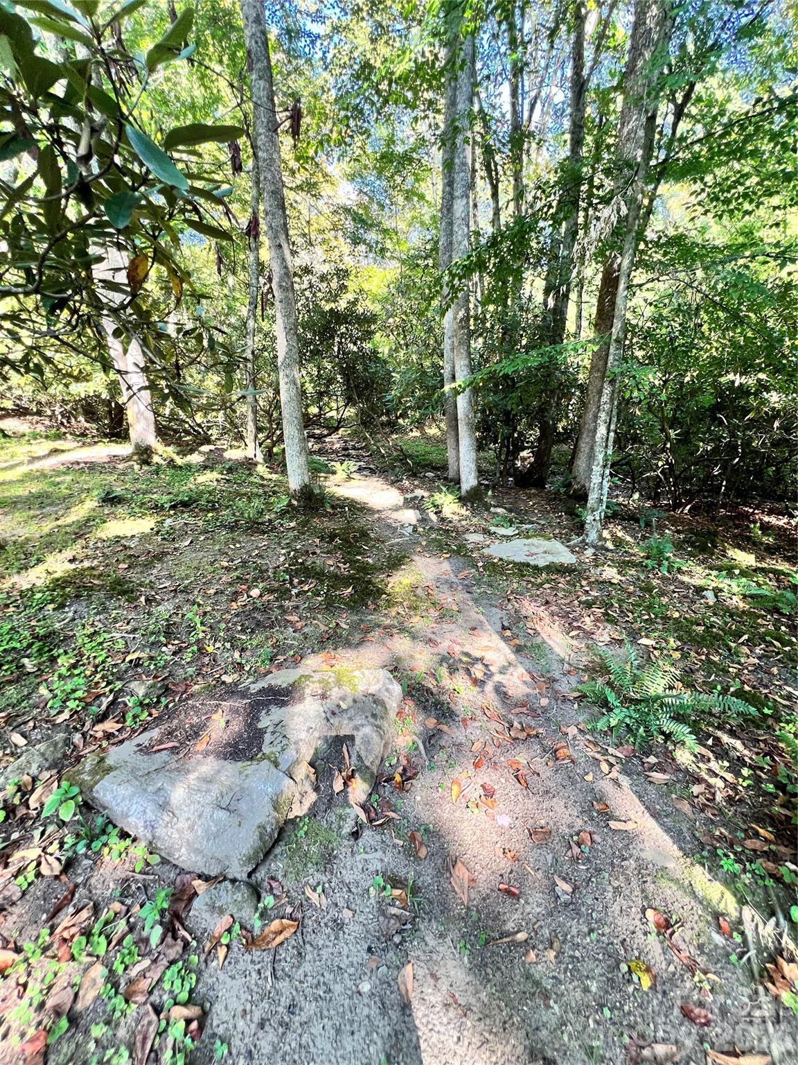 00 Battle Branch Road Bakersville NC 28705