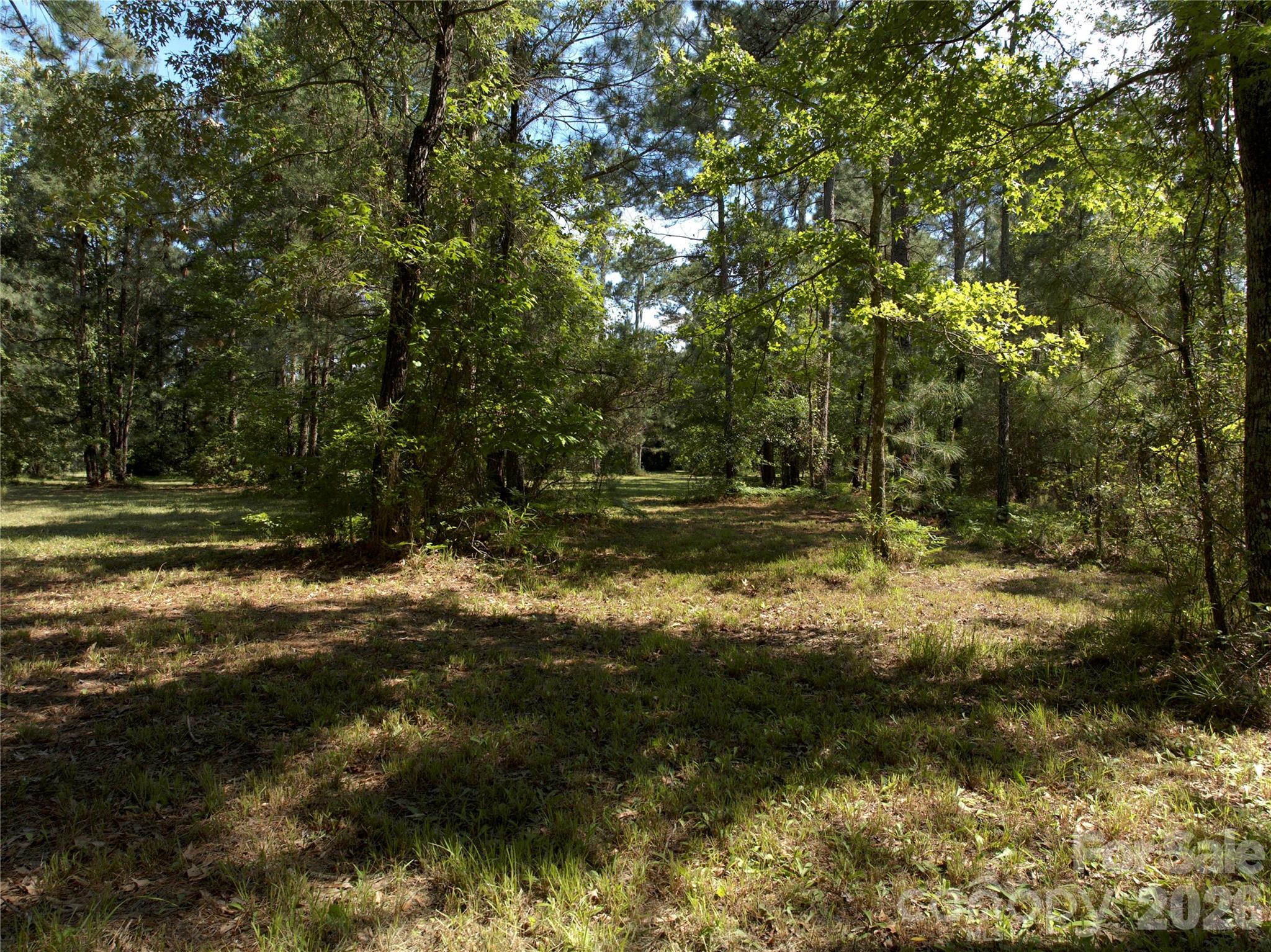 0 Bailey Pointe Drive Belhaven NC 27810
