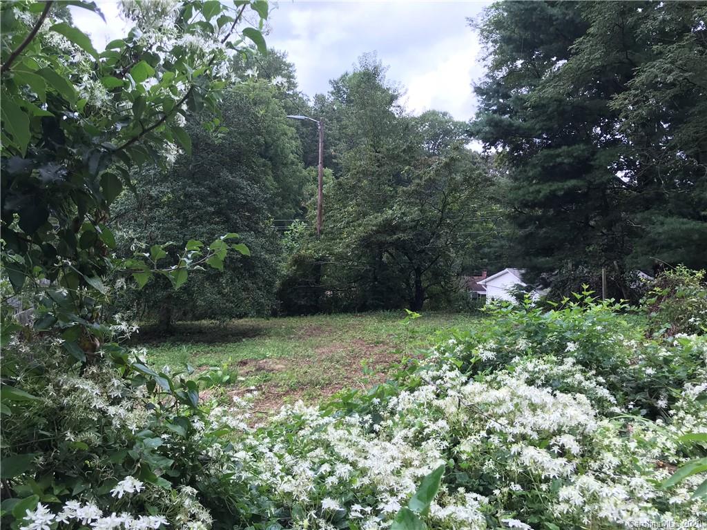 25 Lilac Street Asheville NC 28806