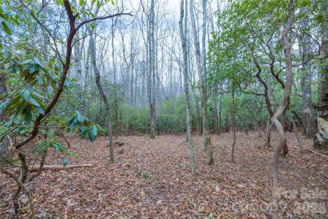 Tract 1 Turtle Ridge Trail Mills River NC 28759
