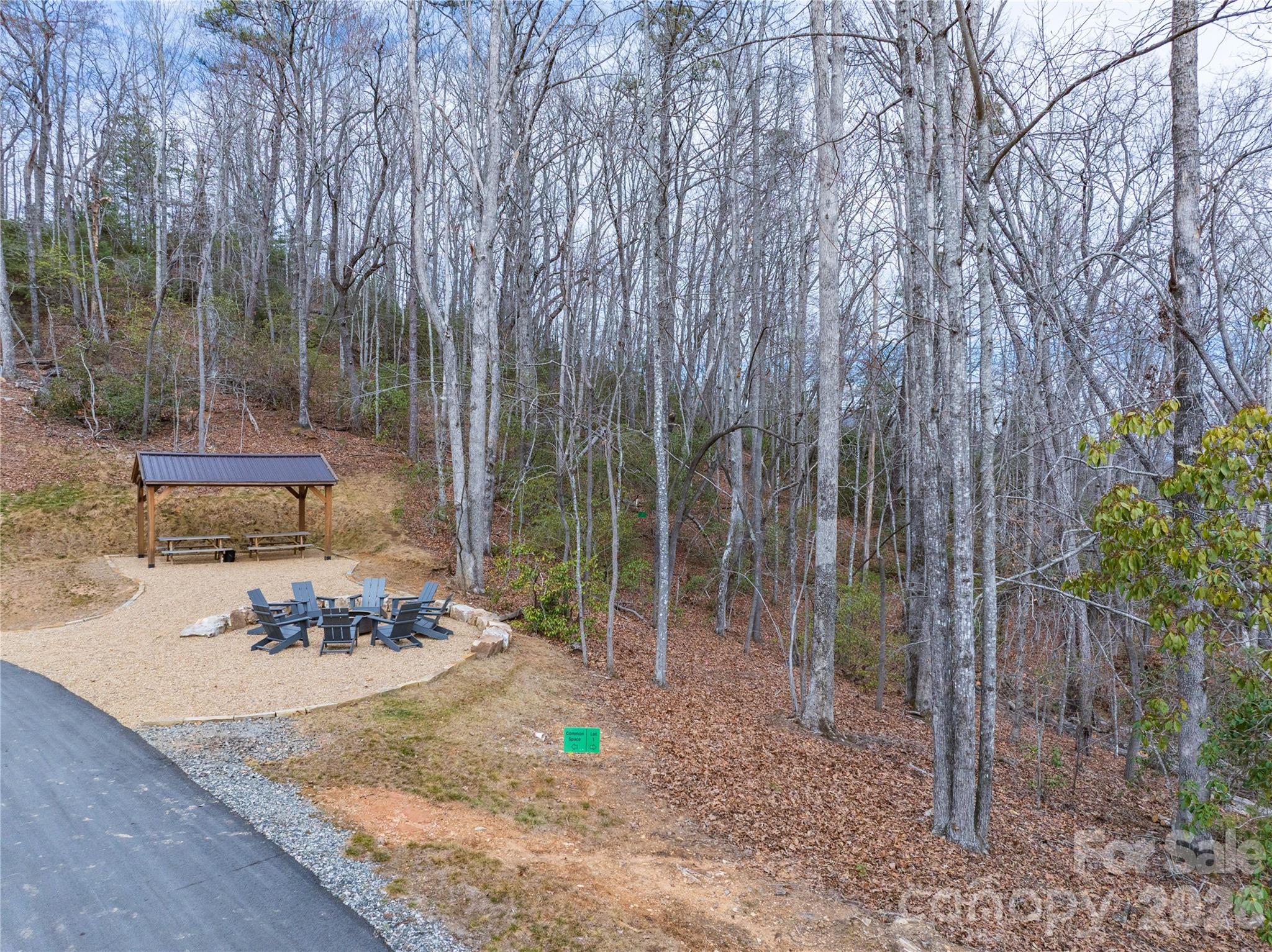 Tract 1 Turtle Ridge Trail Mills River NC 28759