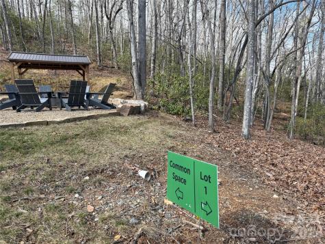 Tract 1 Turtle Ridge Trail Mills River NC 28759