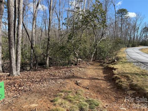 Tract 1 Turtle Ridge Trail Mills River NC 28759