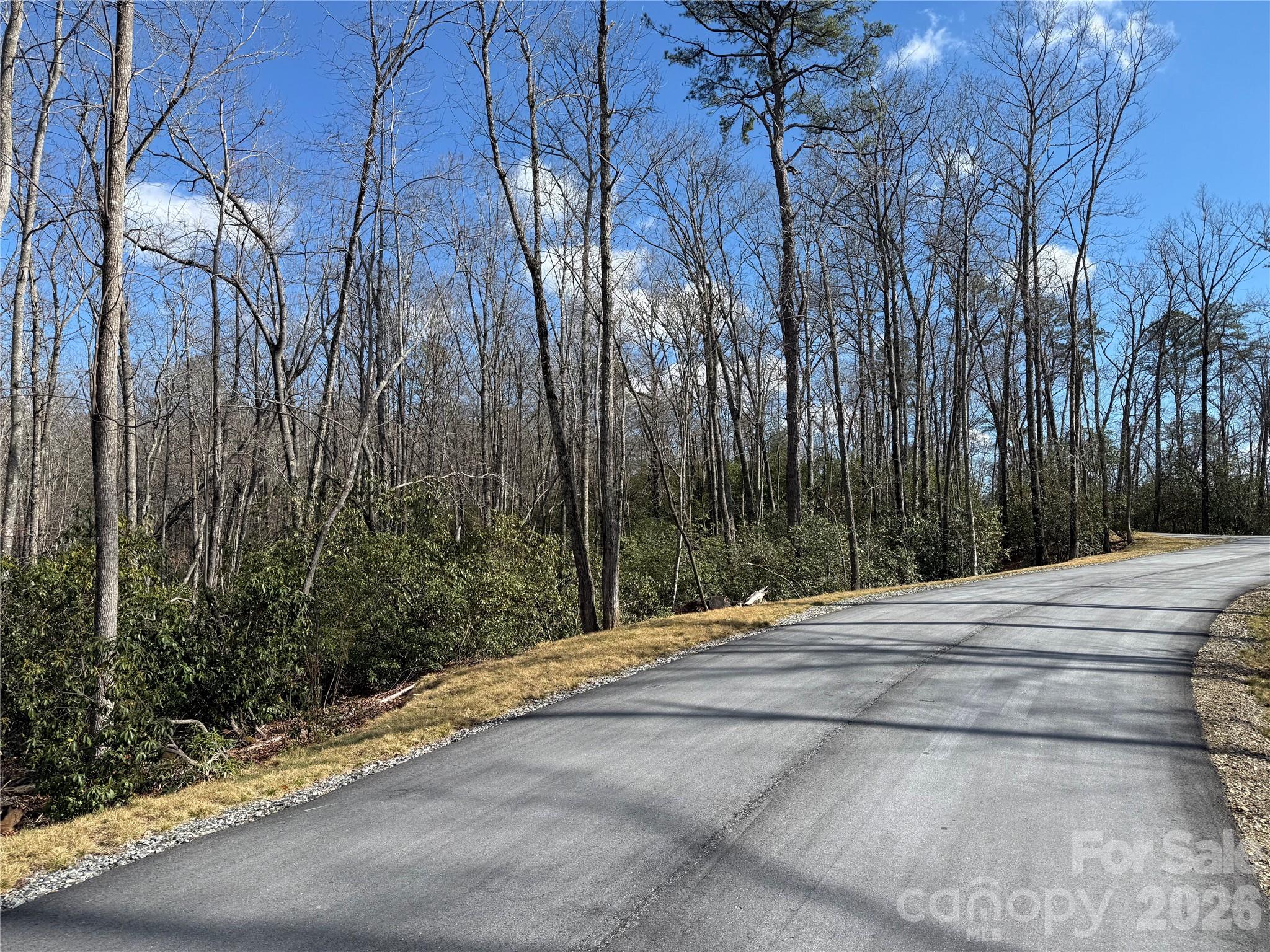 Tract 1 Turtle Ridge Trail Mills River NC 28759