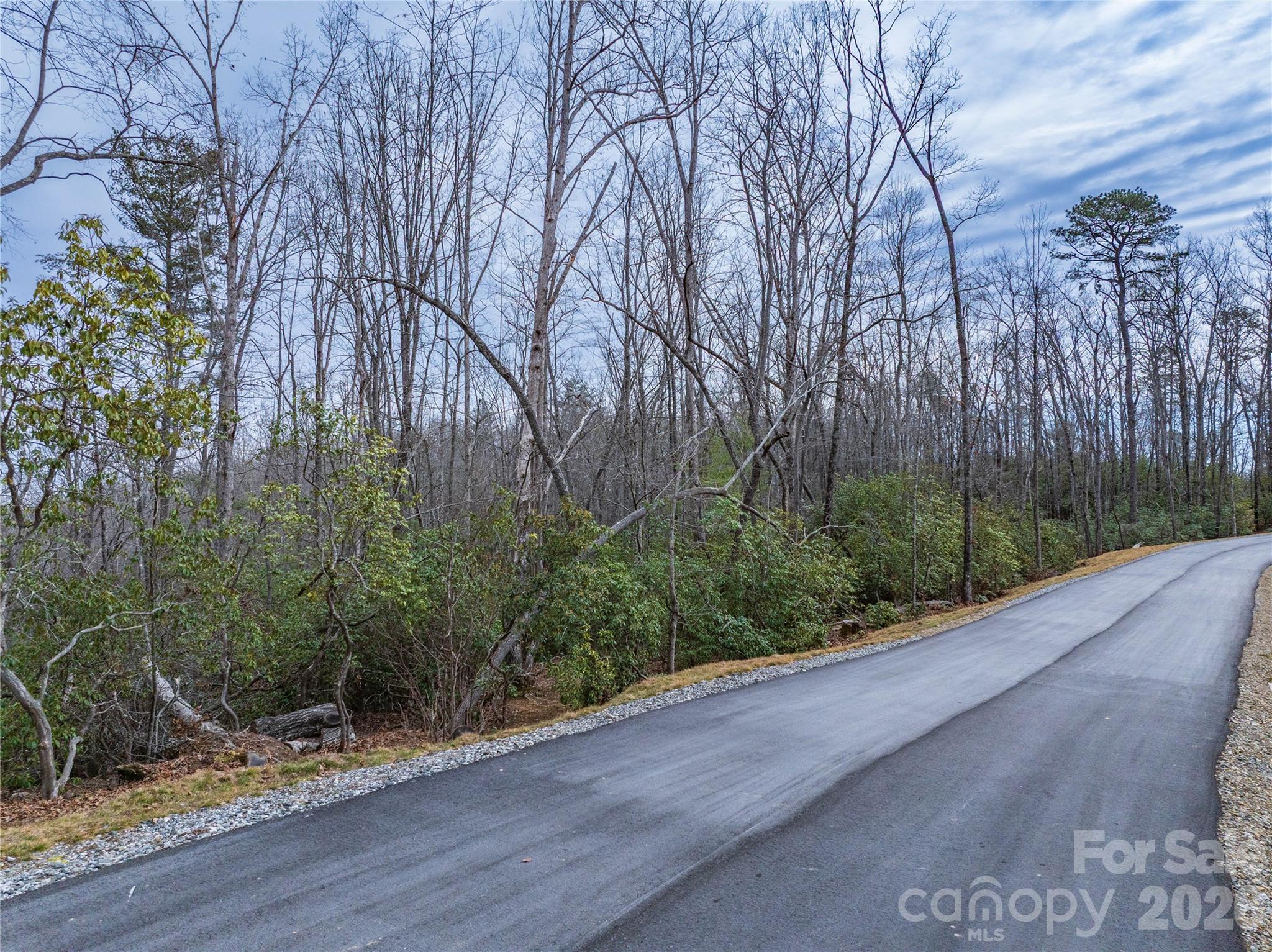 Tract 1 Turtle Ridge Trail Mills River NC 28759