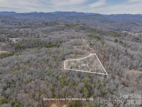 Tract 1 Turtle Ridge Trail Mills River NC 28759