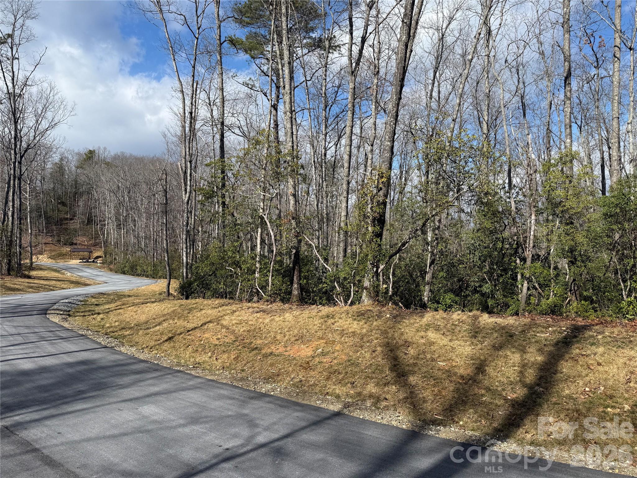 Tract 1 Turtle Ridge Trail Mills River NC 28759