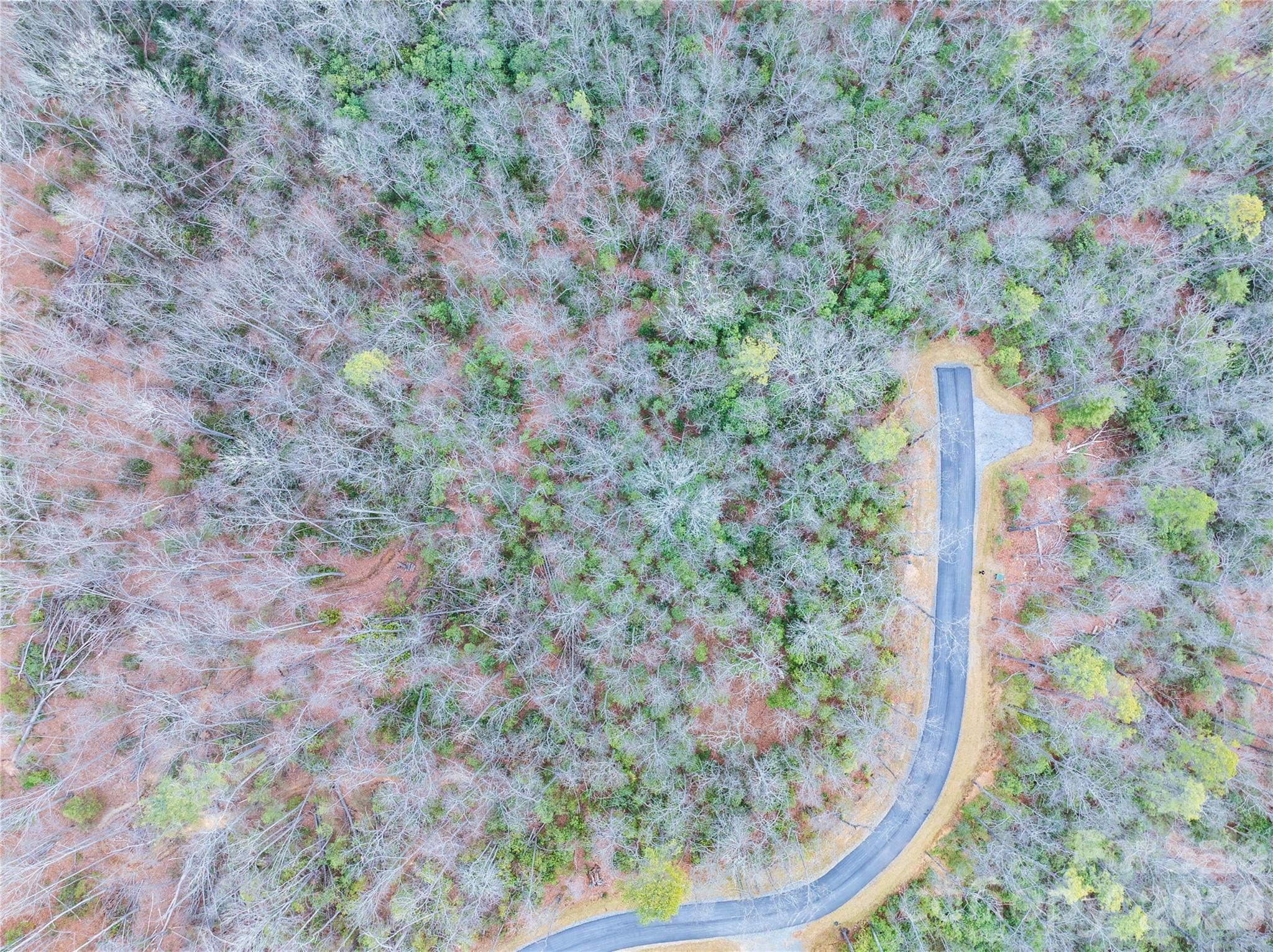 Tract 1 Turtle Ridge Trail Mills River NC 28759