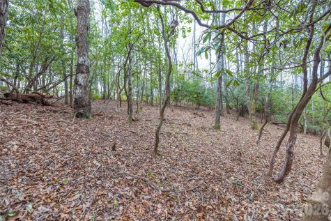 Tract 1 Turtle Ridge Trail Mills River NC 28759