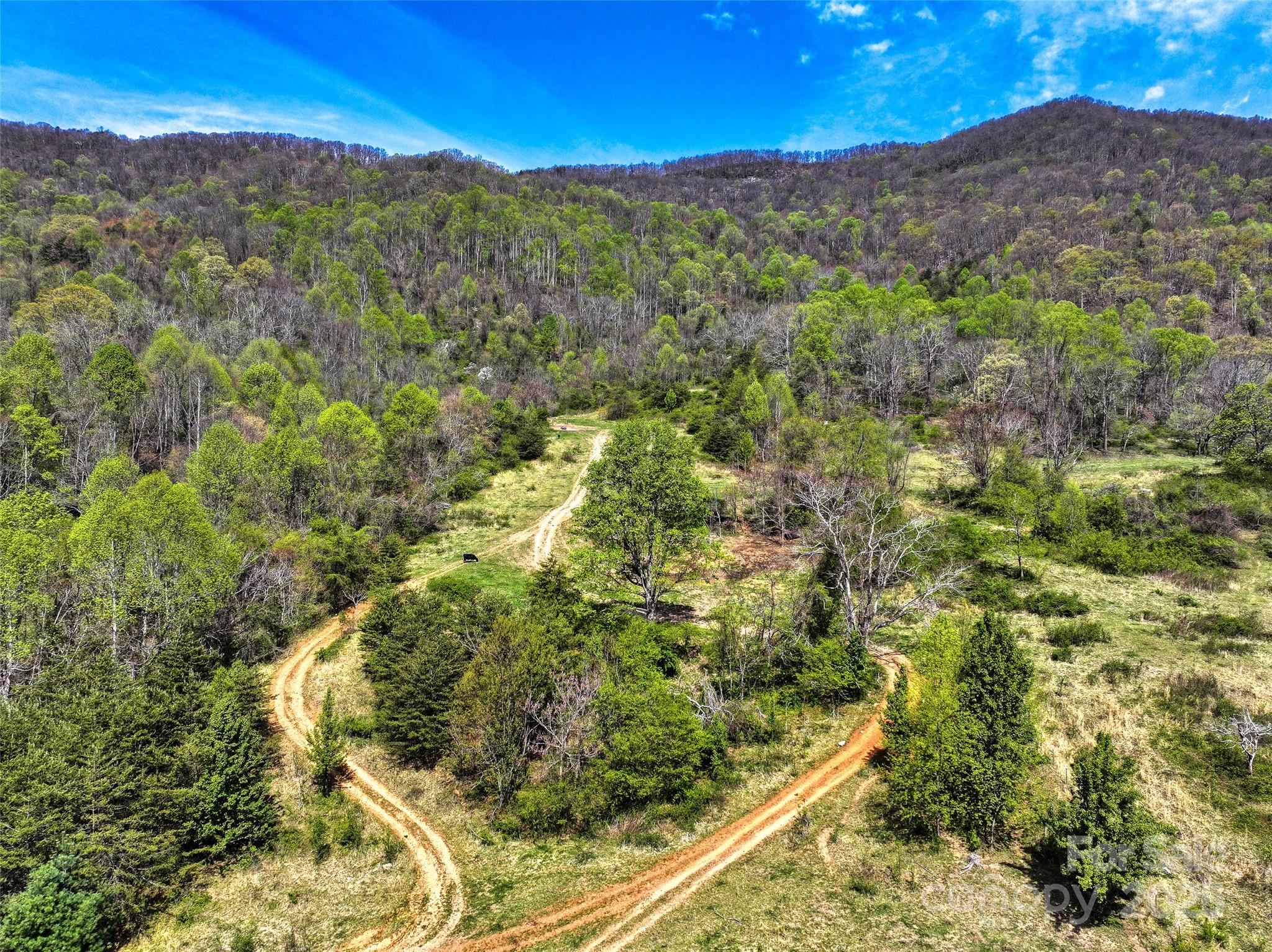 1567 Newfound Road Leicester NC 28748