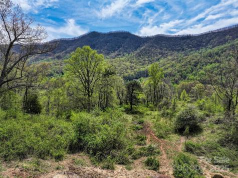 1567 Newfound Road Leicester NC 28748