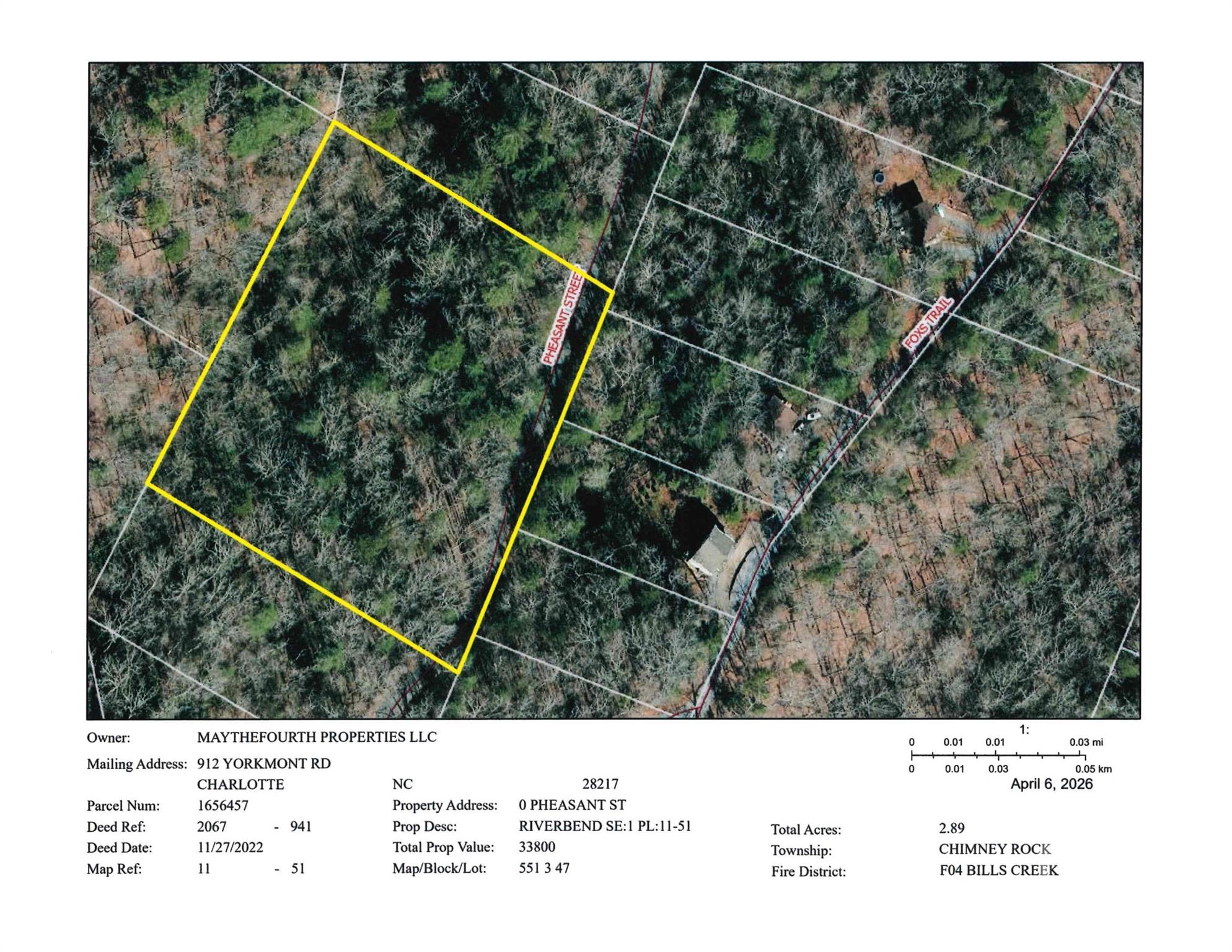 0 Pheasant Street Lake Lure NC 28746