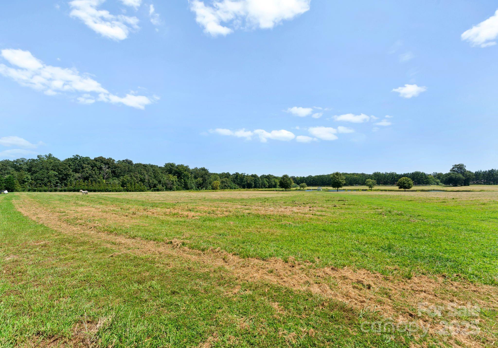 315 Brief Road W Indian Trail NC 28079