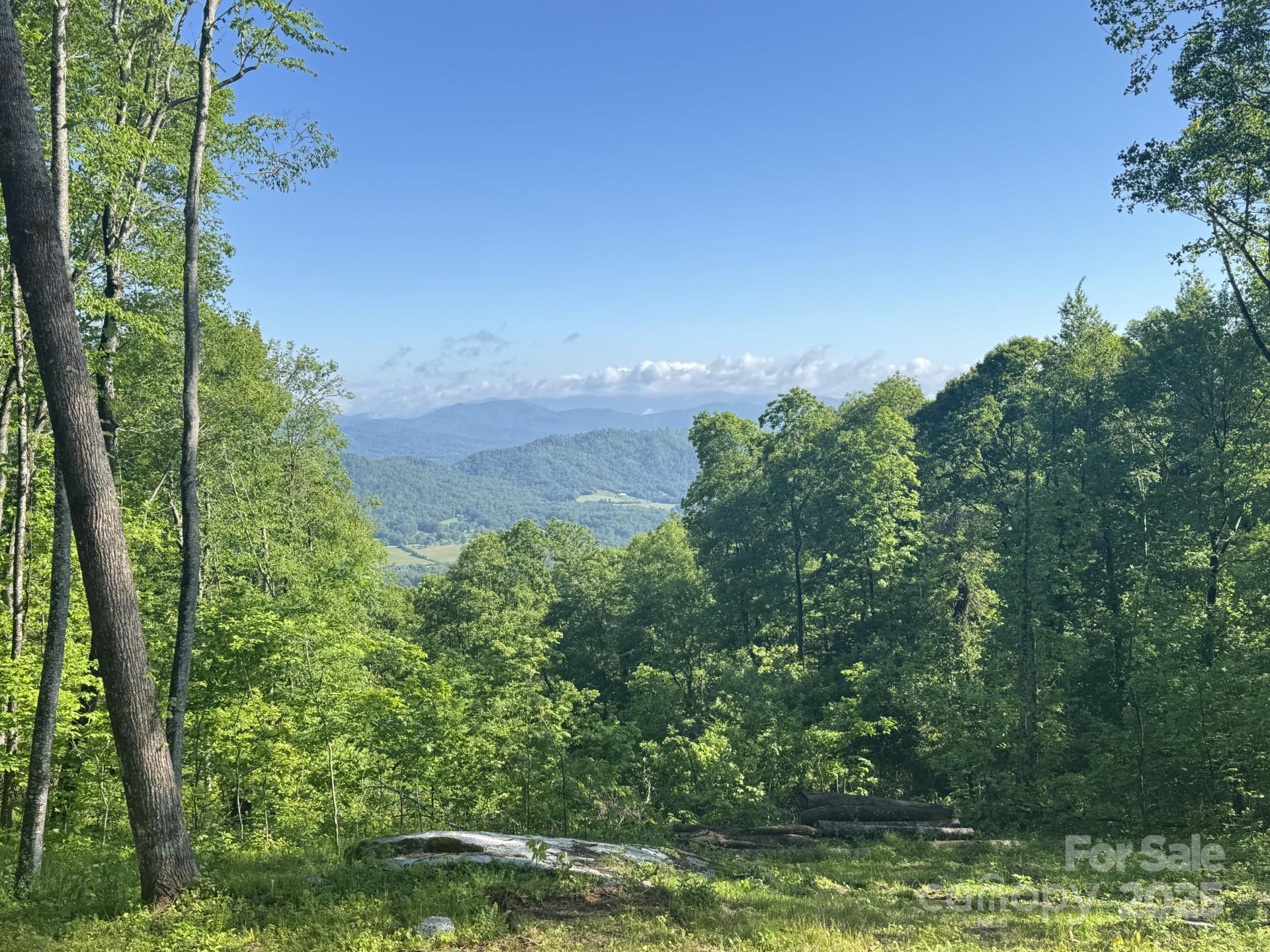 0000 West Garden Trail Hendersonville NC 28792