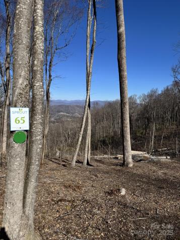 0000 West Garden Trail Hendersonville NC 28792
